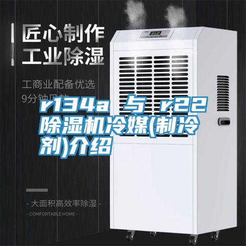 r134a 與 r22小黄片软件免费下载冷媒(製冷劑)介紹