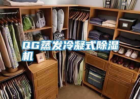 QG蒸發冷凝式小黄片软件免费下载