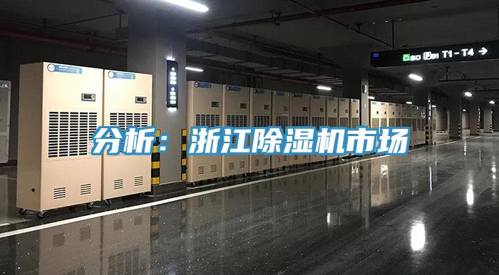 分析：浙江小黄片软件免费下载市場