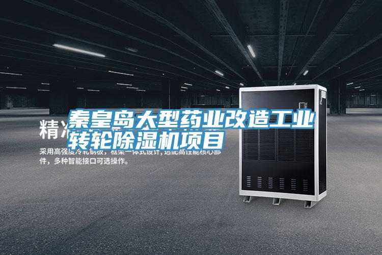 秦皇島大型藥業改造工業轉輪小黄片软件免费下载項目