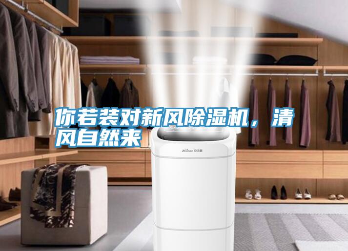 你若裝對新風小黄片软件免费下载，清風自然來