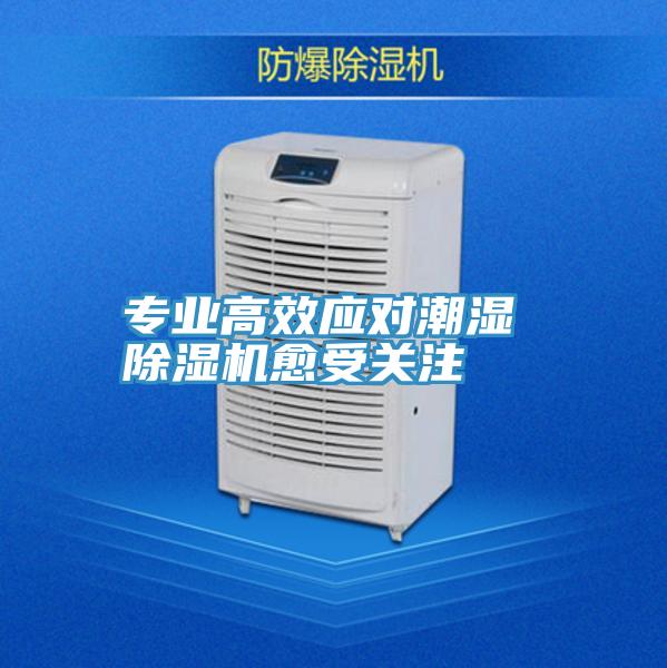 專業高效應對潮濕 小黄片软件免费下载愈受關注