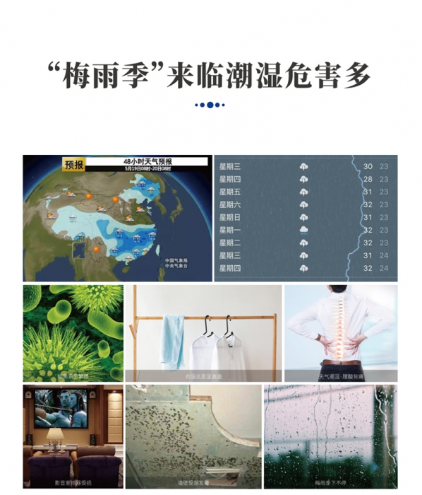 分析轉輪小黄片软件免费下载