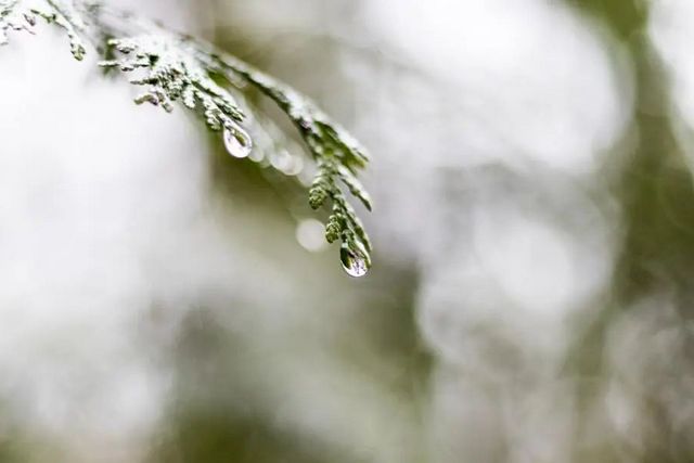 空氣濕度大帶來的危害有哪些，你知道嗎？