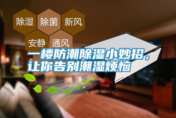 一樓防潮除濕小妙招，讓你告別潮濕煩惱