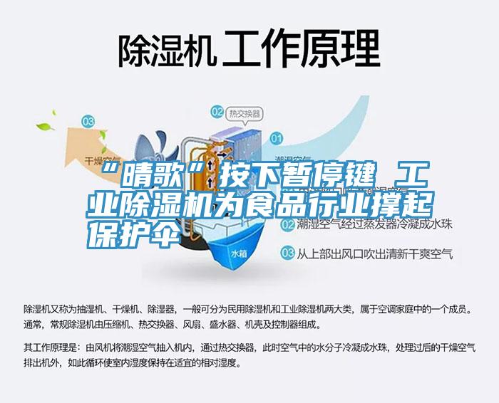 “晴歌”按下暫停鍵 工業小黄片软件免费下载為食品行業撐起保護傘