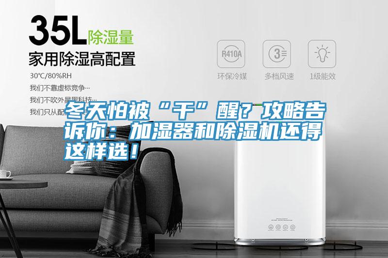 冬天怕被“幹”醒？攻略告訴你：加濕器和小黄片软件免费下载還得這樣選！