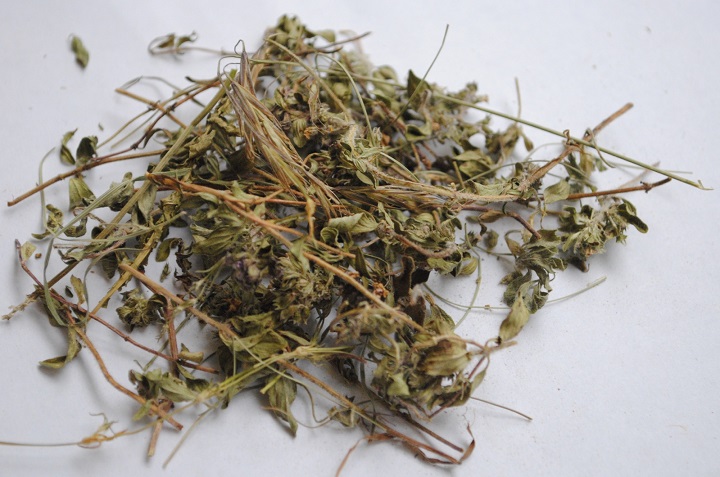 小黄片怎么下载烘幹機