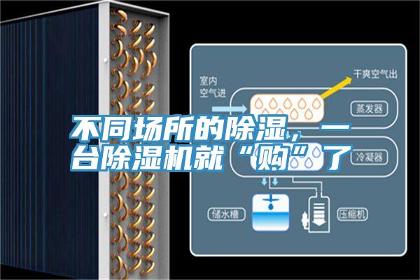 不同場所的除濕，一台小黄片软件免费下载就“購”了