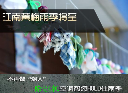 防潮小黄片软件免费下载