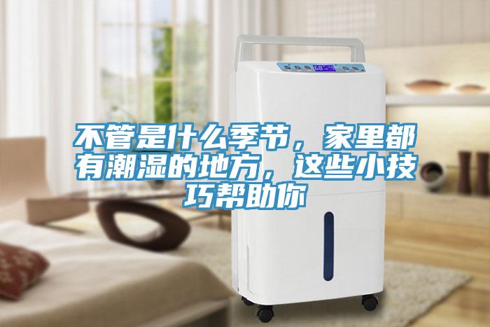 不管是什麽季節，家裏都有潮濕的地方，這些小技巧幫助你