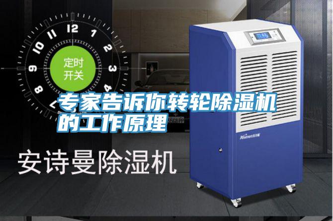 專家告訴你轉輪小黄片软件免费下载的工作原理