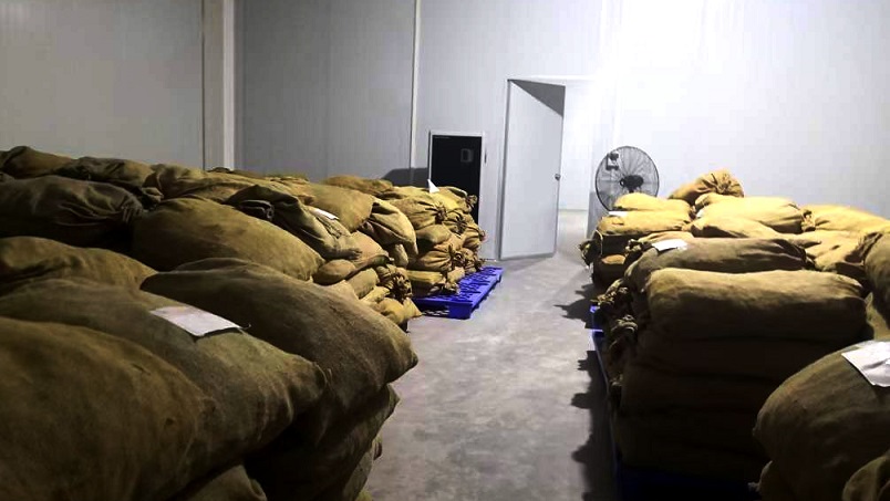 倉庫小黄片软件免费下载在陳皮儲存過程中的應用