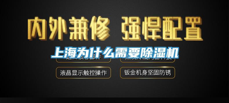 上海為什麽需要小黄片软件免费下载