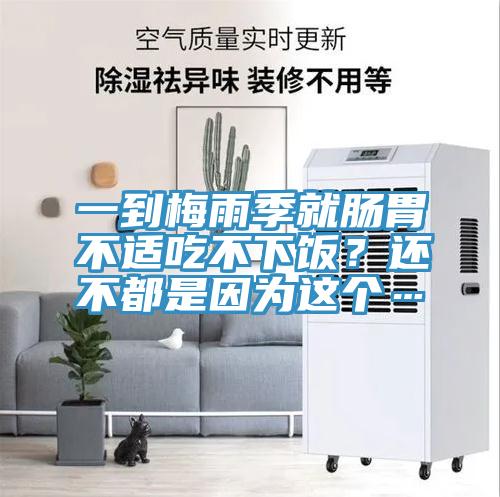 一到梅雨季就腸胃不適吃不下飯？還不都是因為這個…