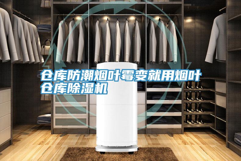 倉庫防潮煙葉黴變就用煙葉倉庫小黄片软件免费下载