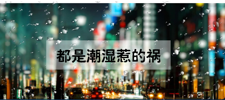 防潮小黄片软件免费下载
