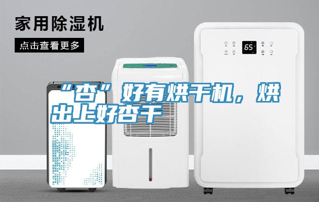“杏”好有烘幹機，烘出上好杏幹