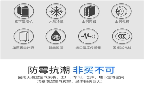 為什麽房子潮濕會有危害？