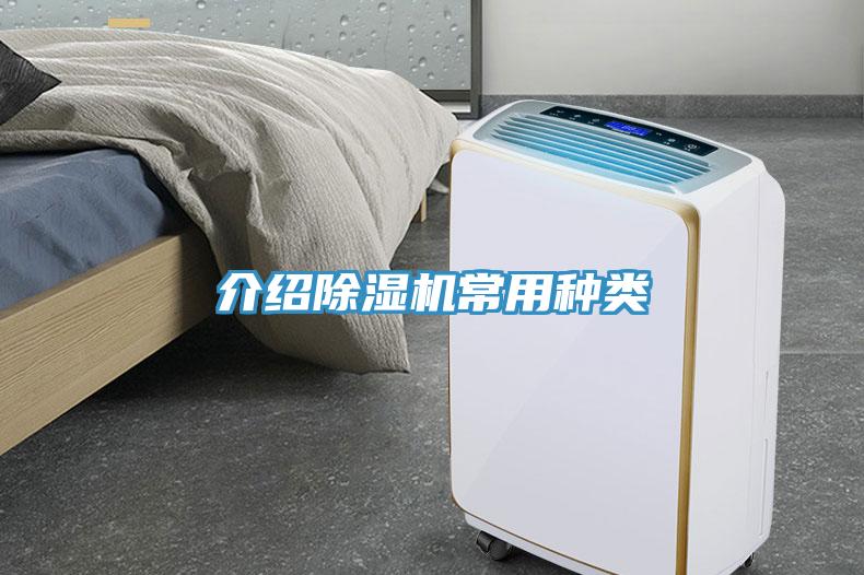 介紹小黄片软件免费下载常用種類