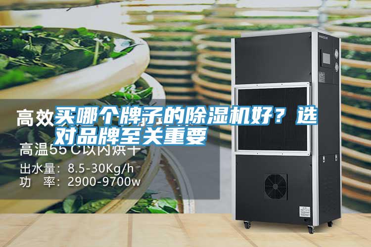 買哪個牌子的小黄片软件免费下载好？選對品牌至關重要