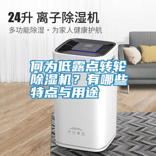 何為低露點轉輪小黄片软件免费下载？有哪些特點與用途