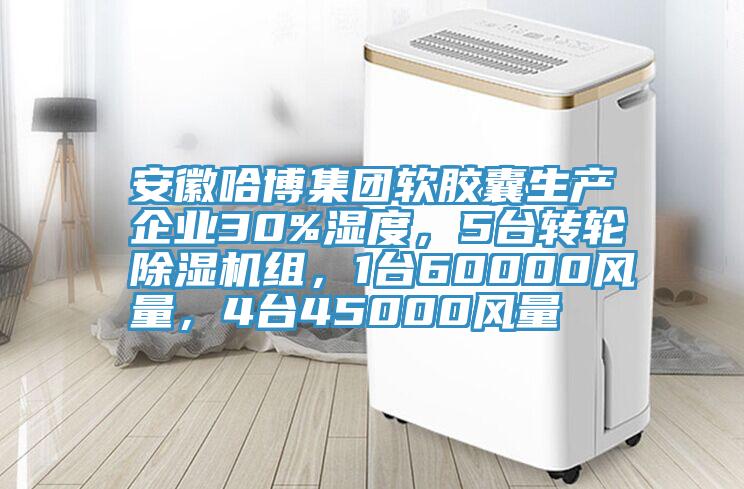 安徽哈博集團軟膠囊生產企業30%濕度，5台轉輪小黄片软件免费下载組，1台60000風量，4台45000風量