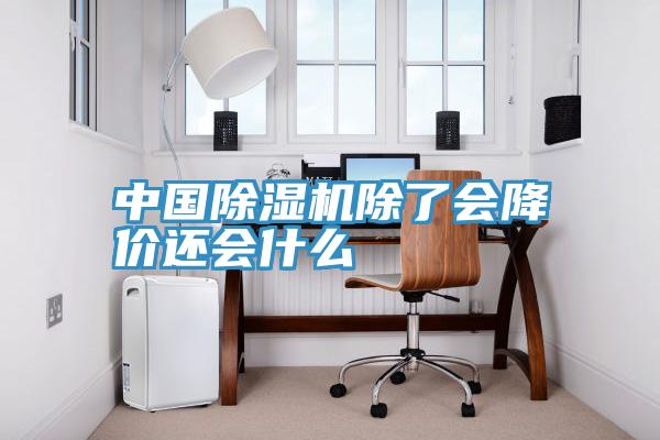 中國小黄片软件免费下载除了會降價還會什麽