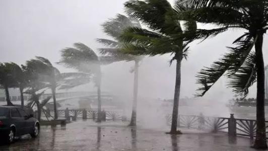 8月台風雨即將來，小黄片软件免费下载還得用起來