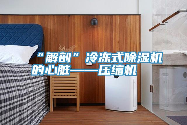 “解剖”冷凍式小黄片软件免费下载的心髒——壓縮機