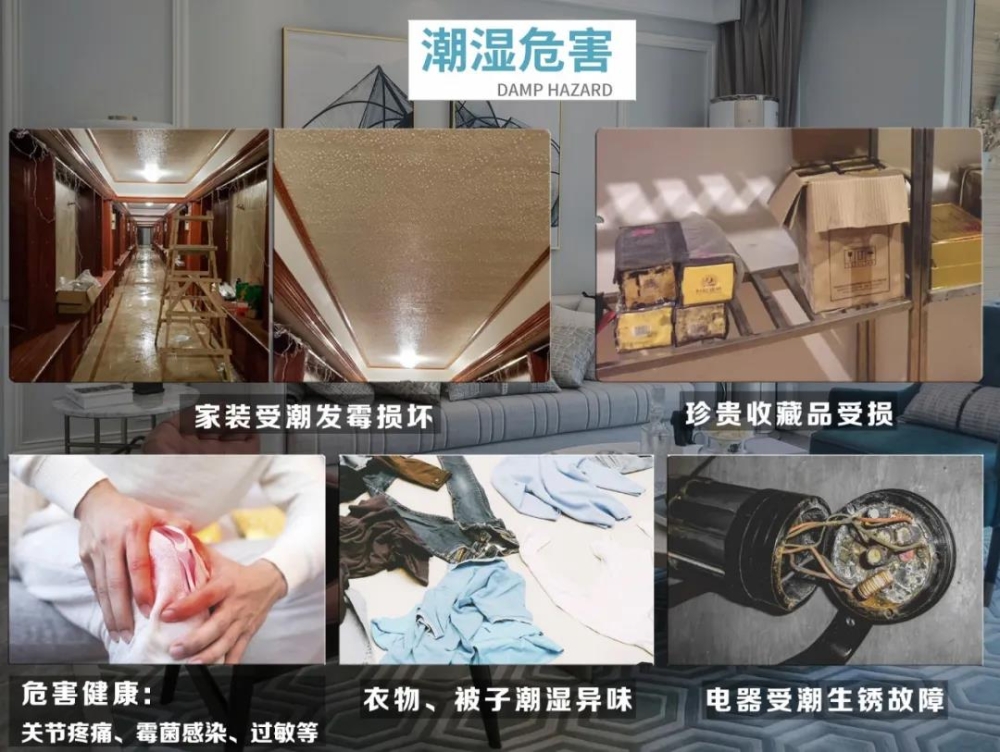 小黄片软件免费下载