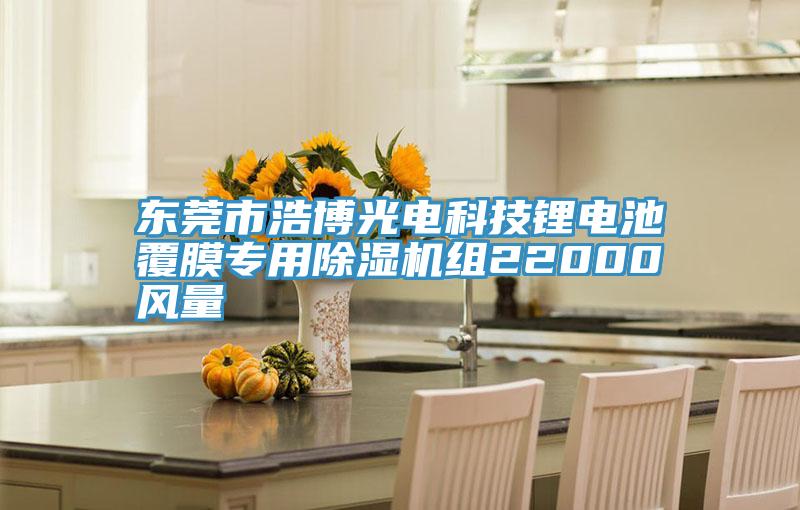 東莞市浩博光電科技鋰電池覆膜專用小黄片软件免费下载組22000風量