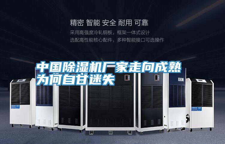 中國小黄片软件免费下载廠家走向成熟 為何自甘迷失