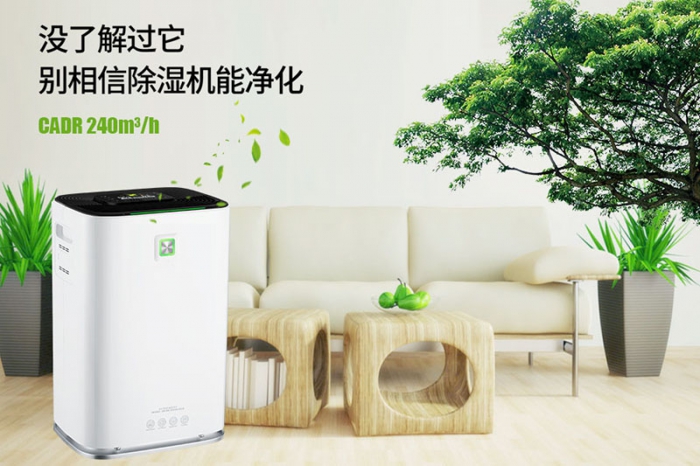 一到回南天狗狗就感冒+皮膚病，怎麽辦？