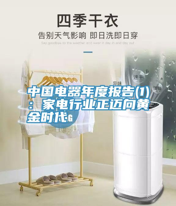 中國電器年度報告(1)：家電行業正邁向黃金時代