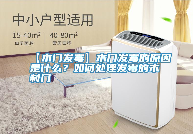 【木門發黴】木門發黴的原因是什麽？如何處理發黴的木製門