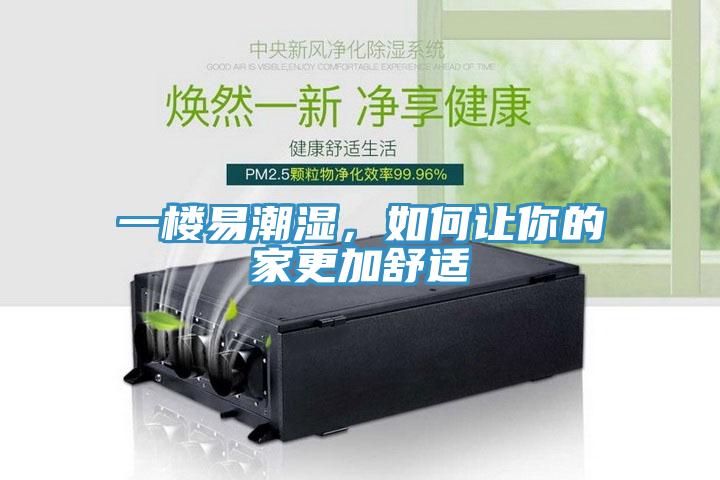 一樓易潮濕，如何讓你的家更加舒適