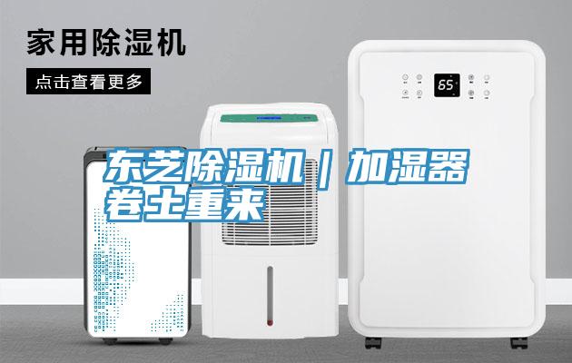 東芝小黄片软件免费下载｜加濕器卷土重來