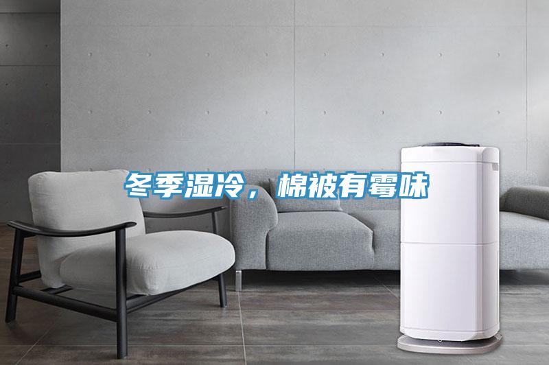 冬季濕冷，棉被有黴味