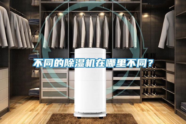 不同的小黄片软件免费下载在哪裏不同？