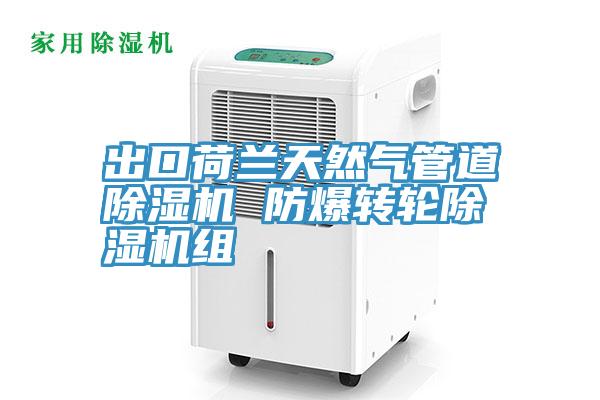 出口荷蘭天然氣管道小黄片软件免费下载 防爆轉輪小黄片软件免费下载組