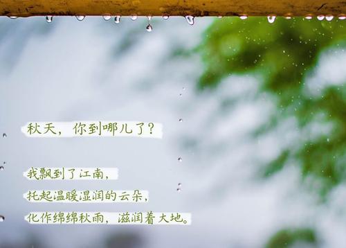 “無晴”陰雨天 “有晴”小黄片软件免费下载