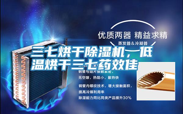 三七烘幹小黄片软件免费下载，低溫烘幹三七藥效佳