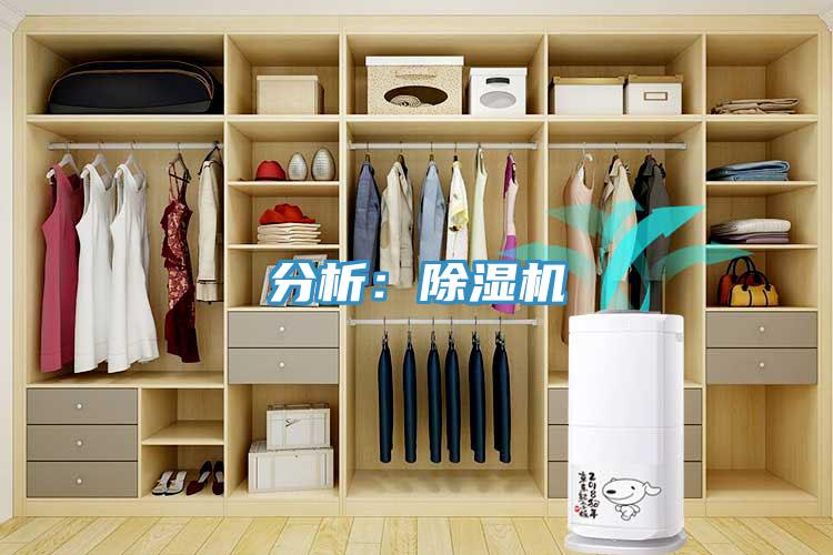 分析：小黄片软件免费下载