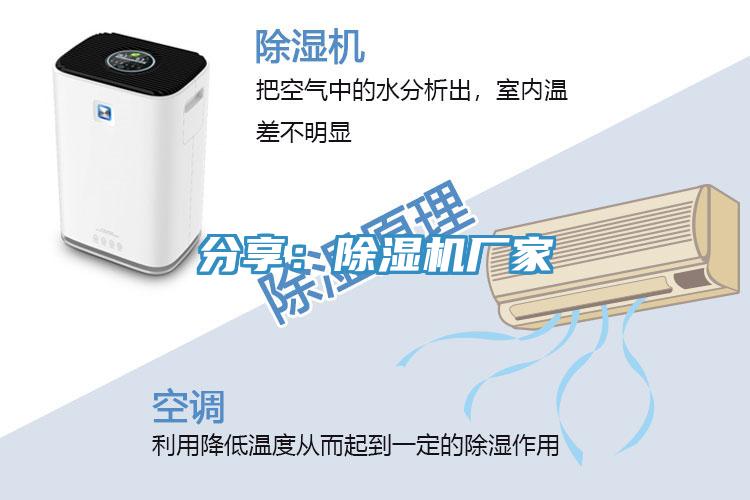 分享：小黄片软件免费下载廠家