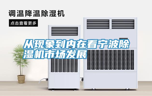 從現象到內在看寧波小黄片软件免费下载市場發展