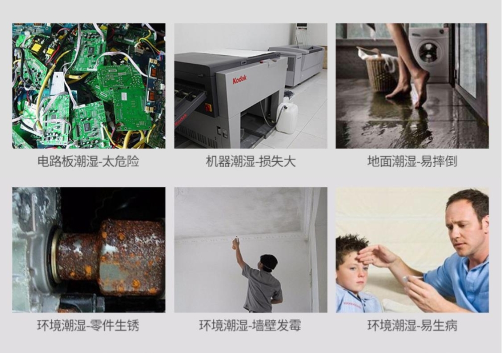 智能小黄片软件免费下载