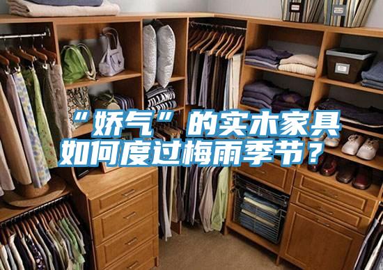 “嬌氣”的實木家具如何度過梅雨季節？