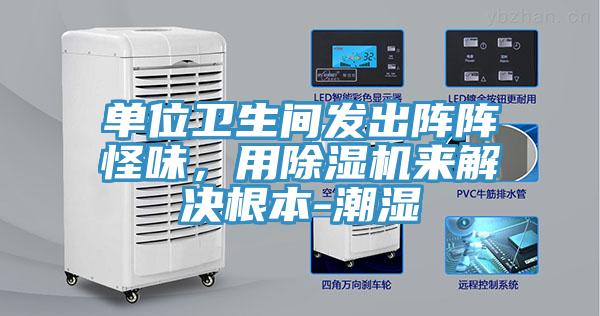 單位衛生間發出陣陣怪味，用小黄片软件免费下载來解決根本-潮濕