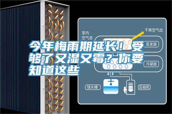 今年梅雨期延長！受夠了又濕又黴？你要知道這些